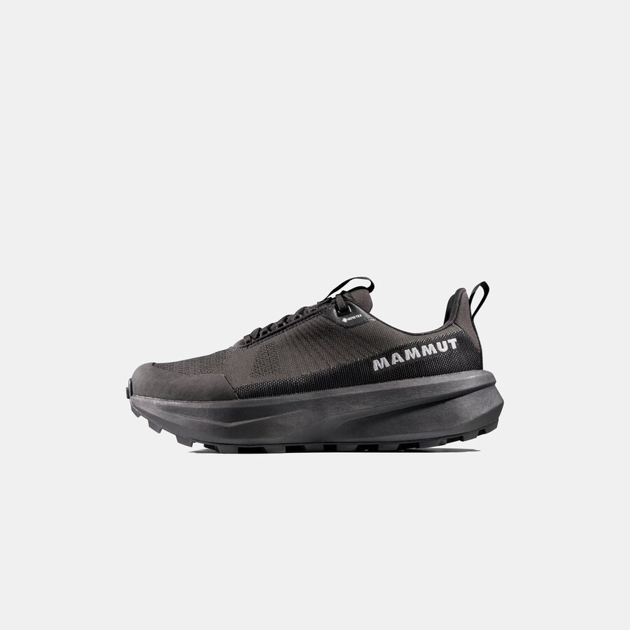 aenergy mtn low gtx herre iguana-svart