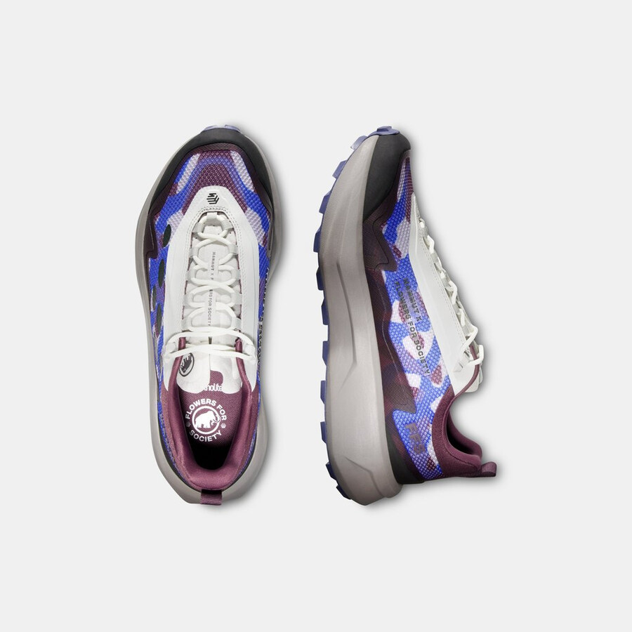 aenergy mtn seed low men turf