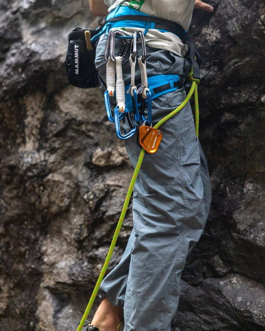 mammut assist sikringsmotstand gull